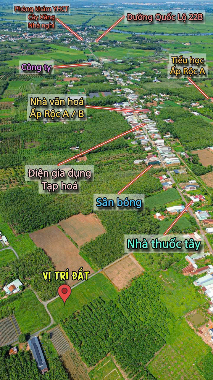 Dự án đất nền ấp rộc a thạnh đức gò dầu tây ninh - Ảnh 3